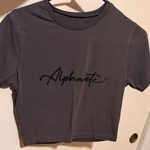 Alphalete Gray Crop Top